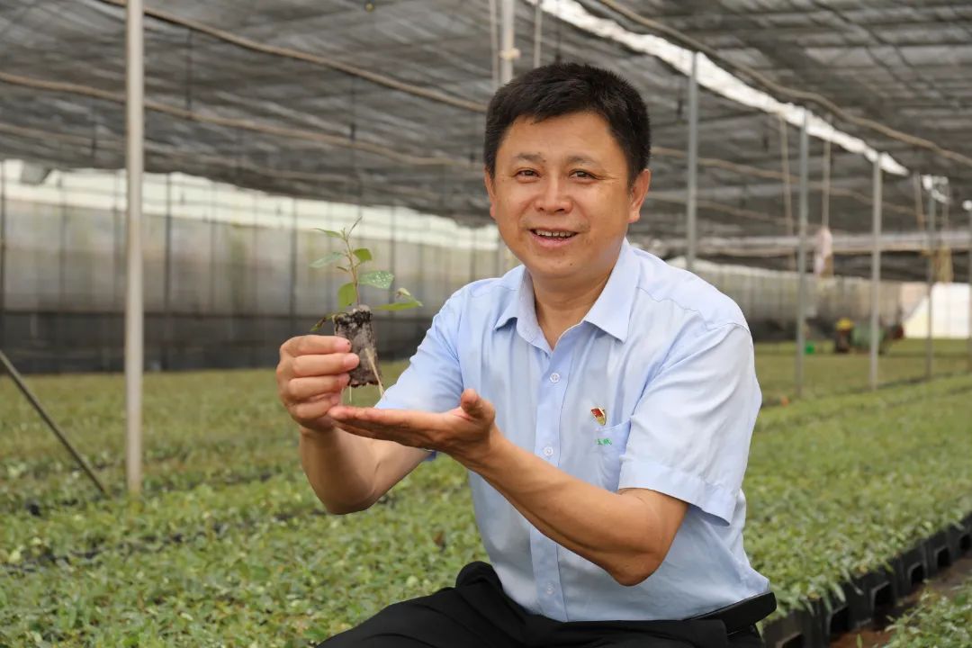 1655173825963617.jpg 2.jpg