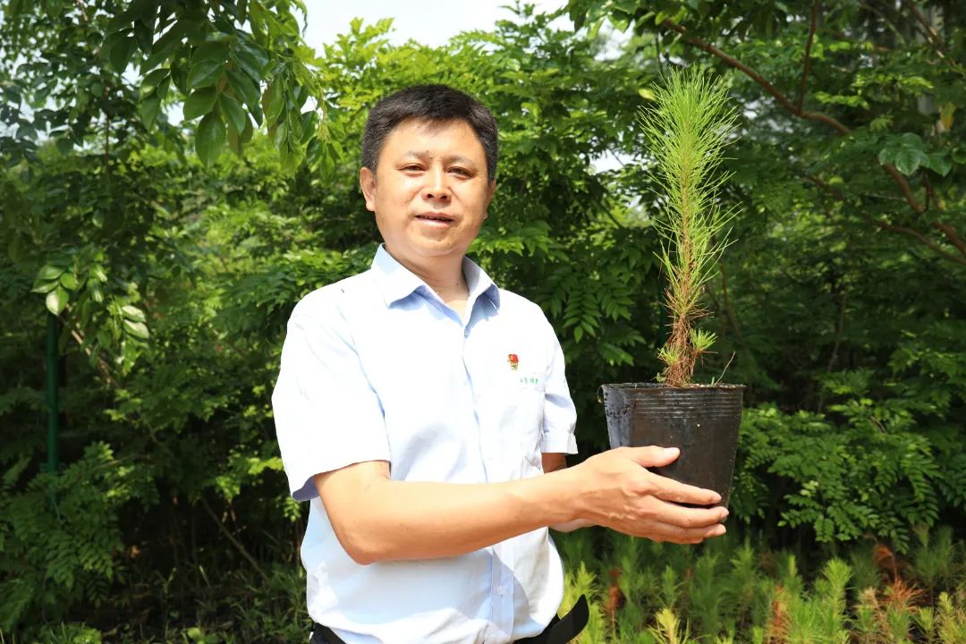 1655173859545470.jpg 3.jpg