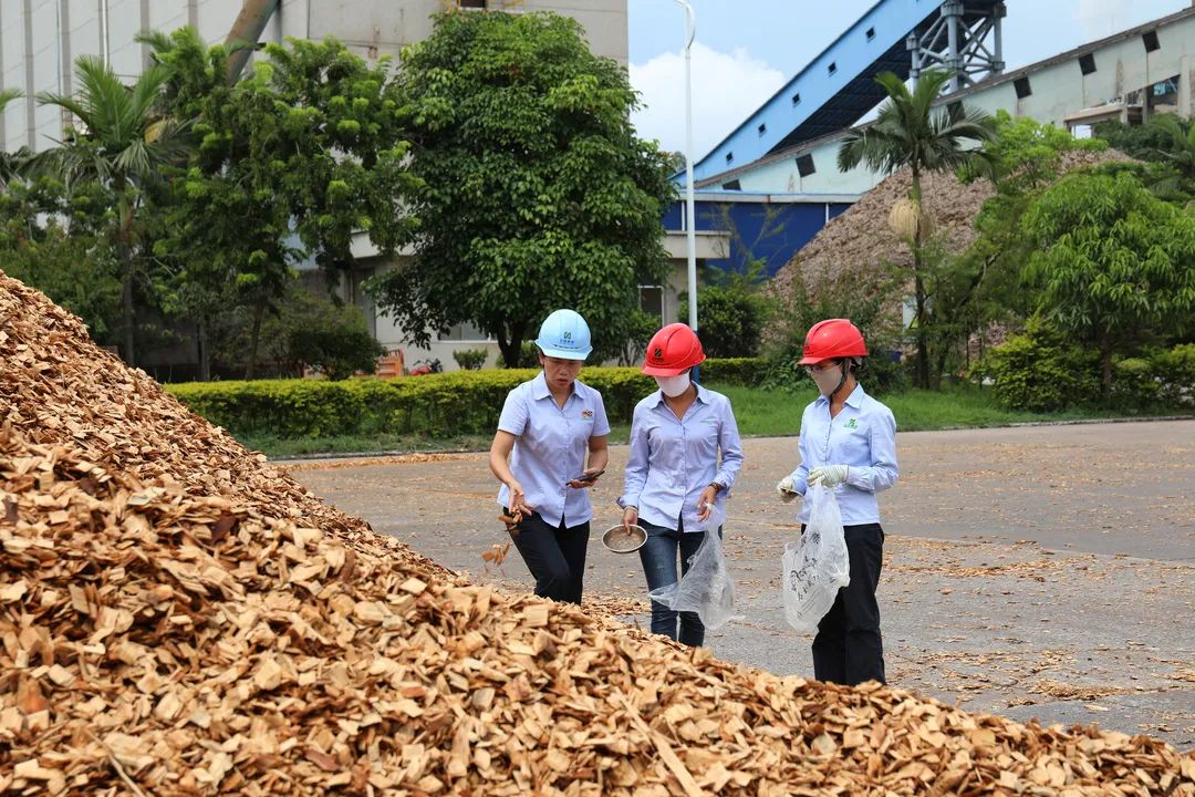 1655175399910675.jpg 2.jpg