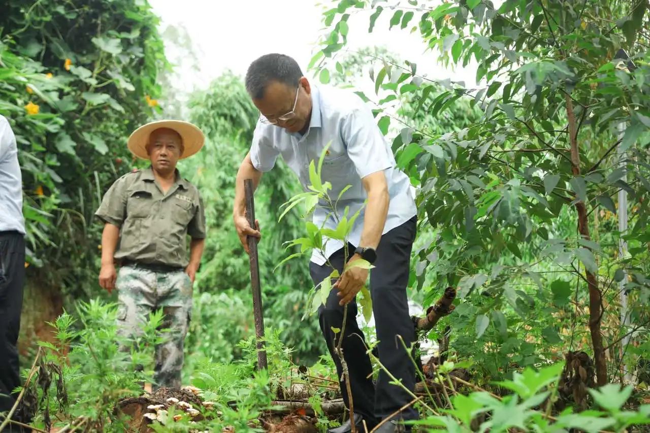 1692761854292397.jpg 微信圖片_20230823113614.jpg